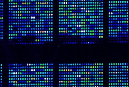 Bioinformatics thesis